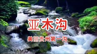 五彩蛇大作战