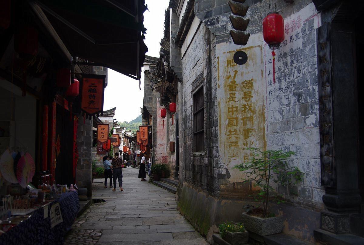 破碎的动物图形3