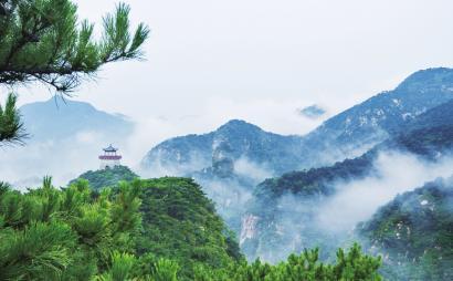 iQOO7好不好，性能强吗？游戏画面